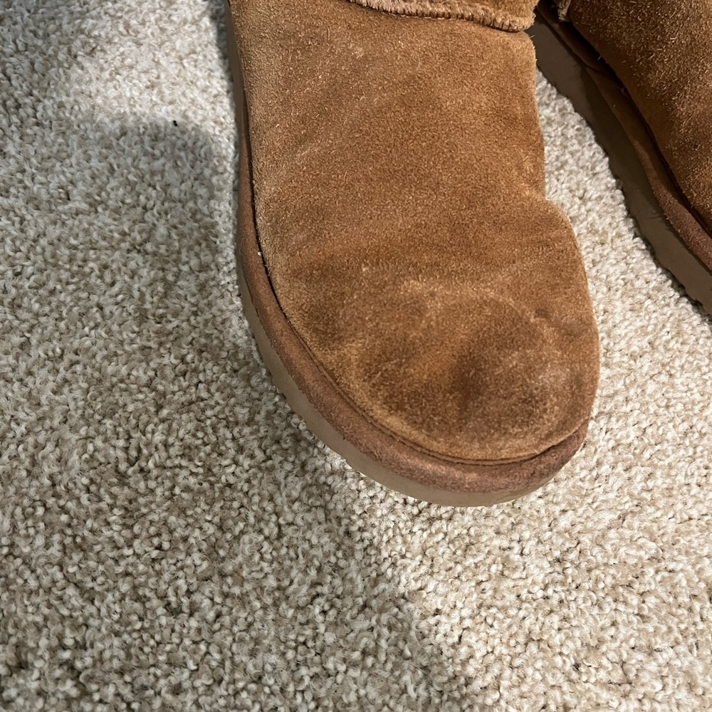 Chestnut Uggs - image 6